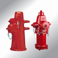  Dry and Wet barrel Hydrant